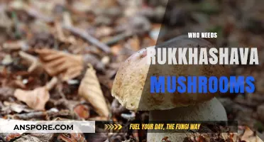 Mushroom Magic: Unlocking Rukkhashava's Healing Powers