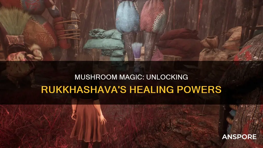 who needs rukkhashava mushrooms