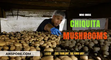 Chiquita Mushrooms: Ownership and Business Insights