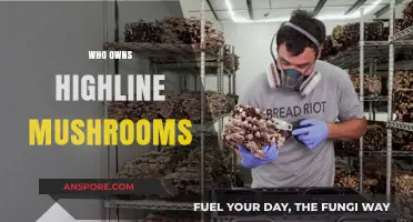 The Highline Mushrooms Story: Ownership and Origins