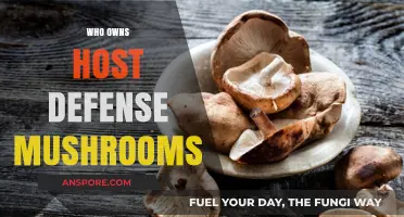 Host Defense Mushrooms: Who Owns the Company?