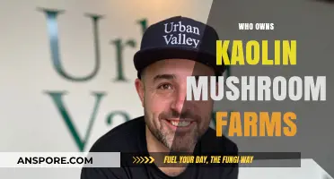 Kaolin Mushroom Farms: Who Owns the Business?