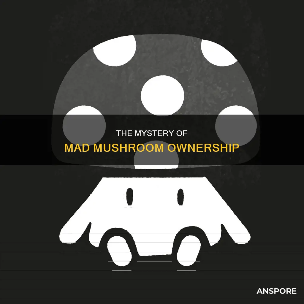 who owns mad mushroom