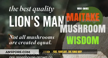 Maitake Mushroom Wisdom: Who Owns the Company?