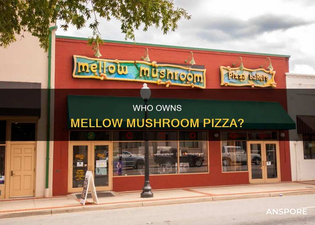 who owns mellow mushroom pizza