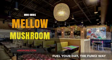 Mellow Mushroom's Ownership: A Tale of Multiple Stakeholders