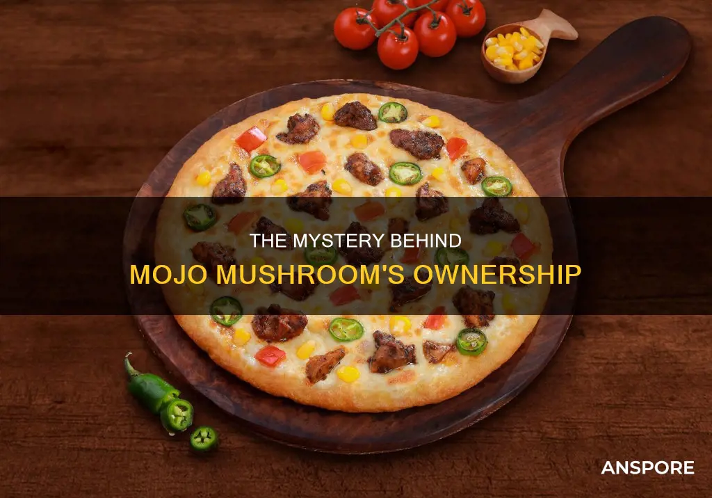 who owns mojo mushroom
