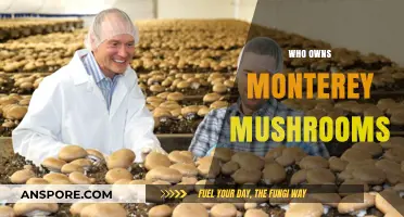 The Ultimate Owner of Monterey Mushrooms