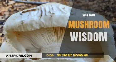 Mushroom Wisdom: A Comprehensive Guide to Ownership