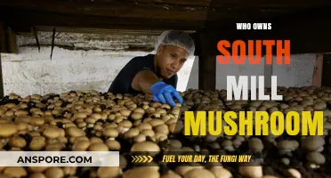 The Story Behind South Mill Mushrooms Ownership