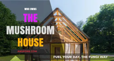 The Mystery of the Mushroom House Ownership