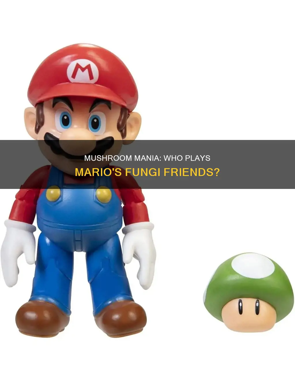who plays mushroom in mario