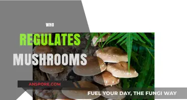 Mushroom Regulation: Who's in Charge?