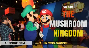 The Mushroom Kingdom: Who's in Charge?