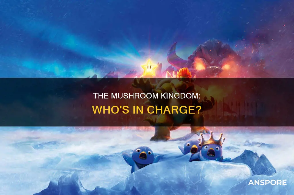 who rules the mushroom kingdom