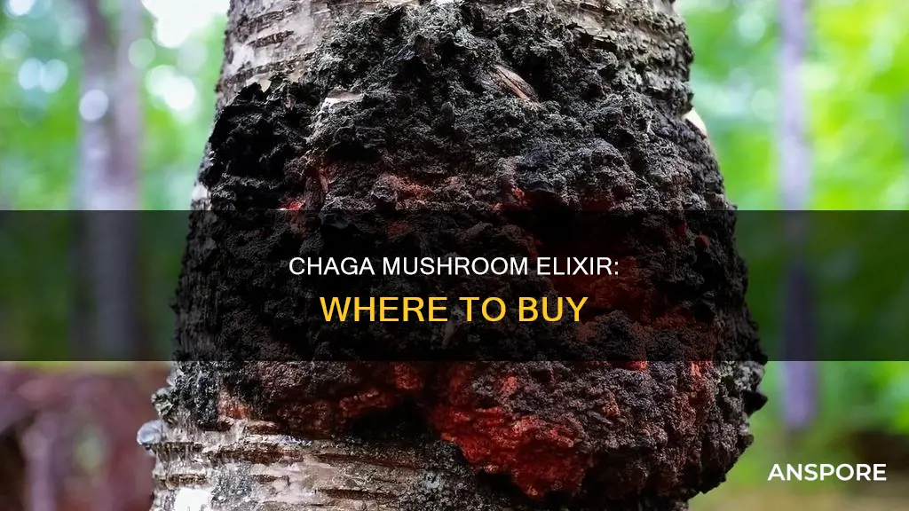 who sale chaga mushroom elixir