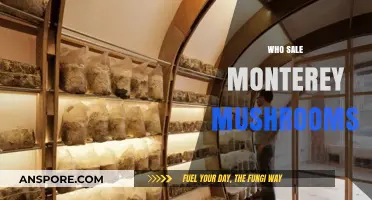 Monterey Mushrooms: Where to Buy and Why