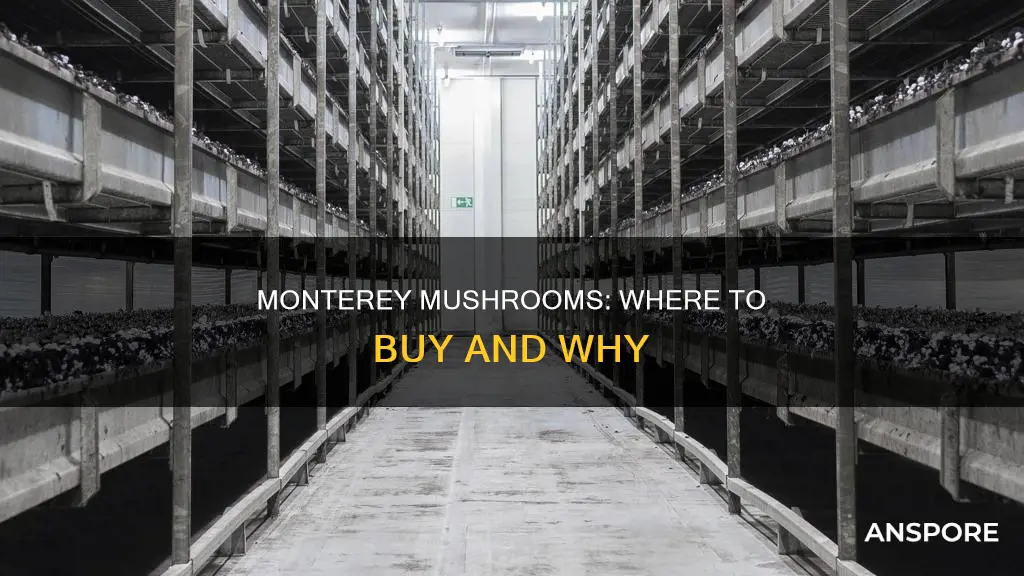 who sale monterey mushrooms