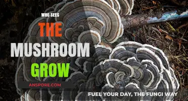Unseen Guardians: Who Witnesses the Mushroom's Silent Growth?