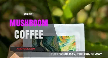 Mushroom Coffee: Who's Brewing?