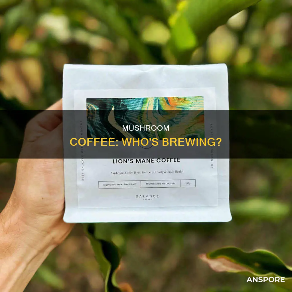 who sell mushroom coffee