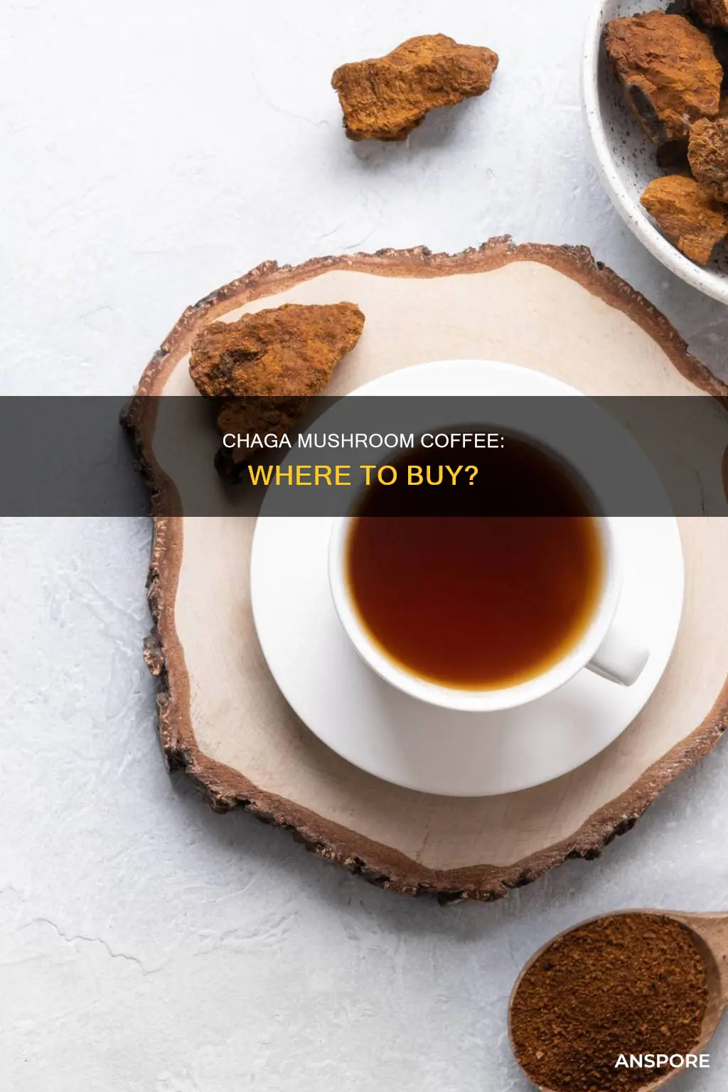 who sells chaga mushroom coffee