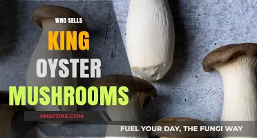 Where to Buy King Oyster Mushrooms?