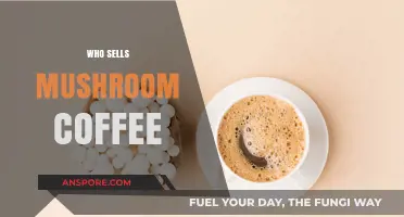 Mushroom Coffee: Where to Buy This Magical Brew