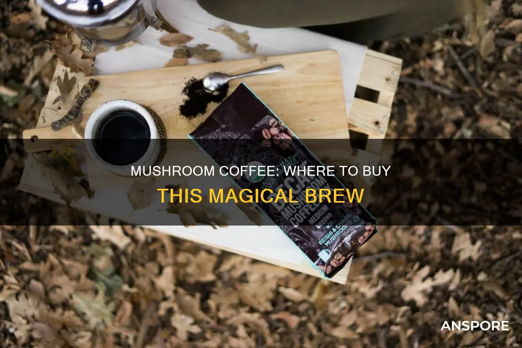 who sells mushroom coffee