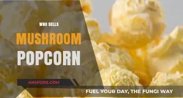 Where to Buy Mushroom Popcorn Kernels