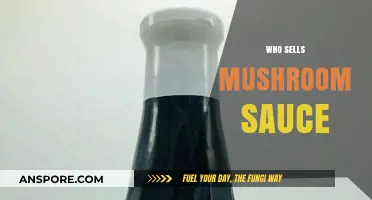 Where to Buy Mushroom Sauce?