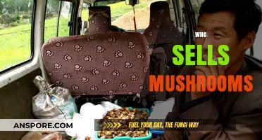 Mushroom Merchants: Where to Find Them