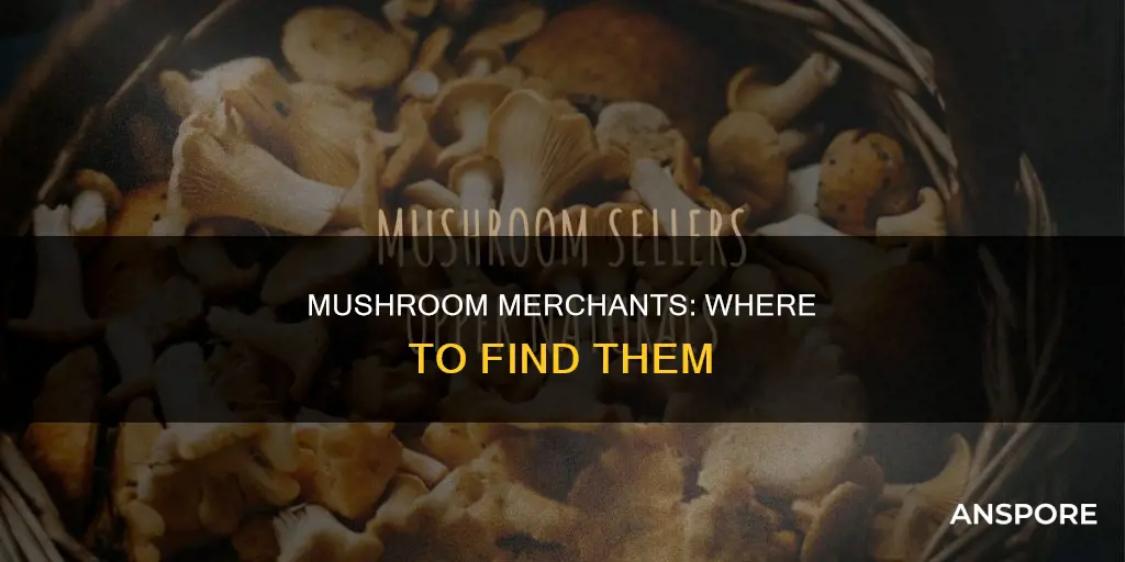who sells mushrooms