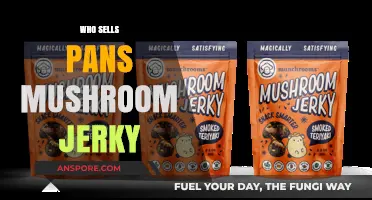 Where to Buy Pan's Mushroom Jerky