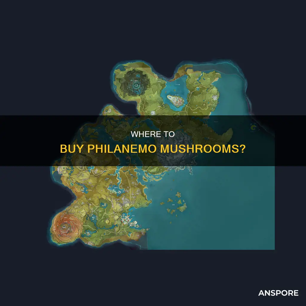who sells philanemo mushrooms