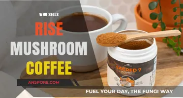 Where to Buy Rise Mushroom Coffee