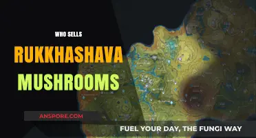 Where to Buy Rukkhashava Mushrooms?