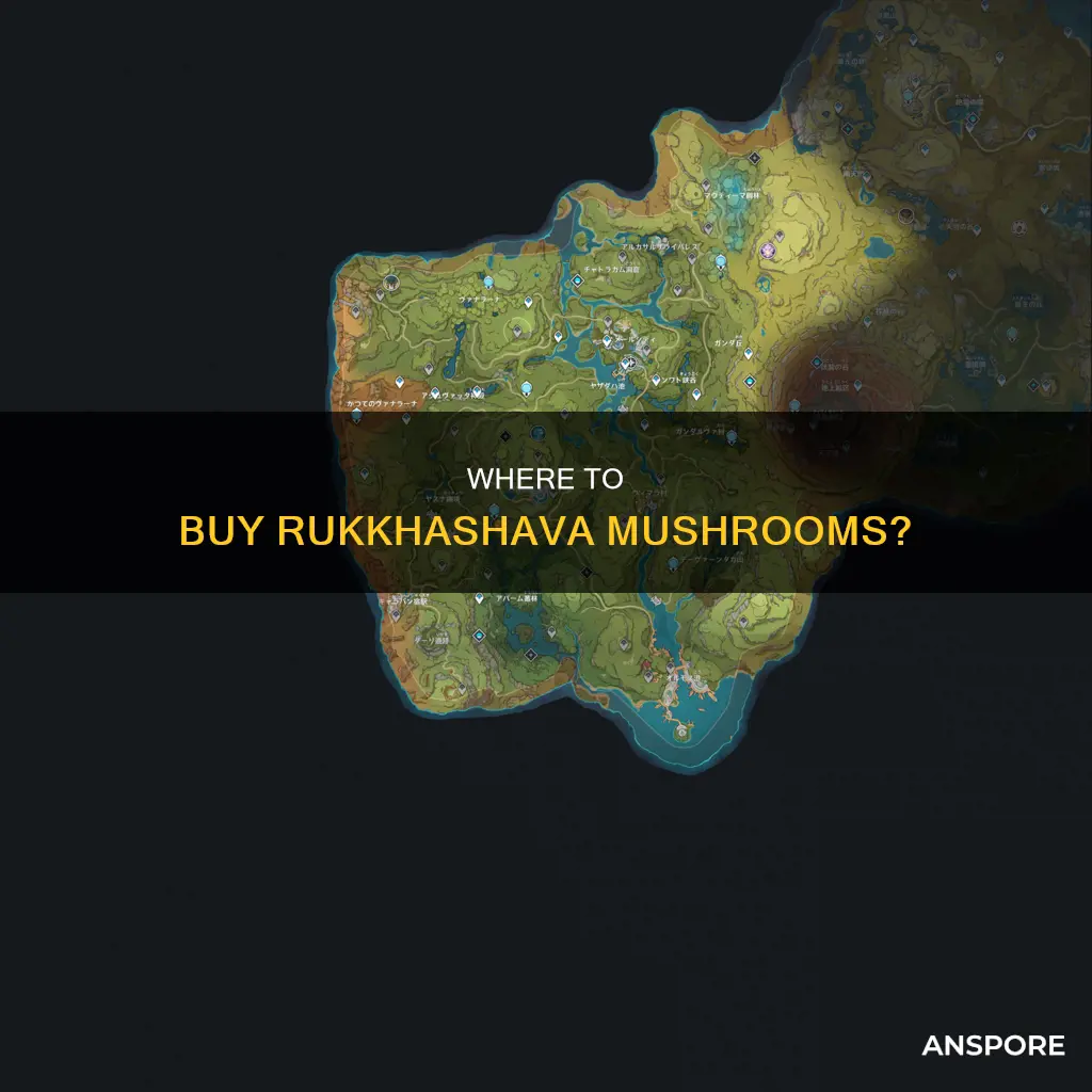 who sells rukkhashava mushrooms