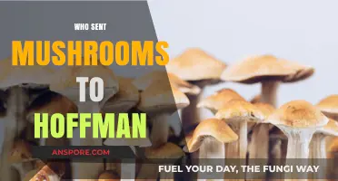 The Mystery of Hoffman's Mushrooms