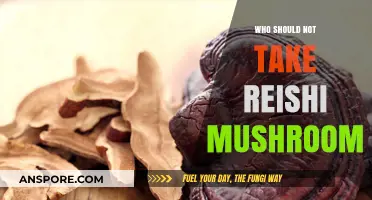 Reishi Mushroom Precautions: Who Should Avoid This Medicinal Fungus?