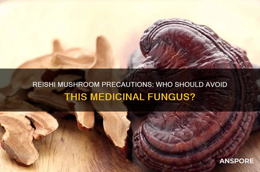 who should not take reishi mushroom