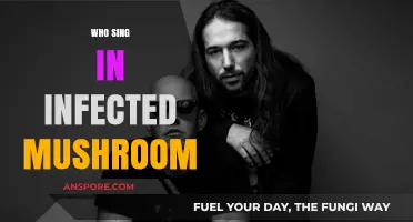 Infected Mushroom: Who Are the Singers?