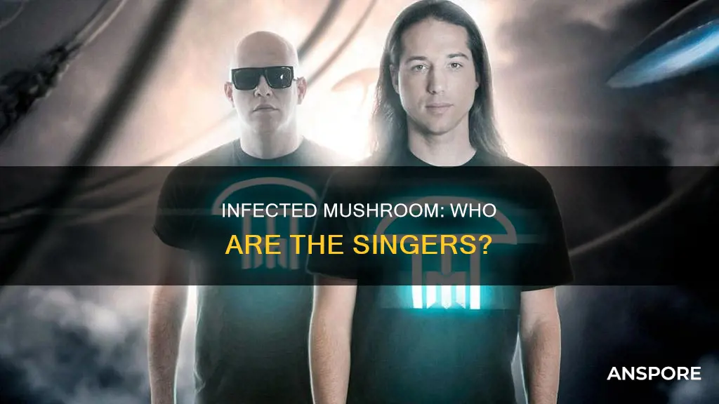 who sing in infected mushroom