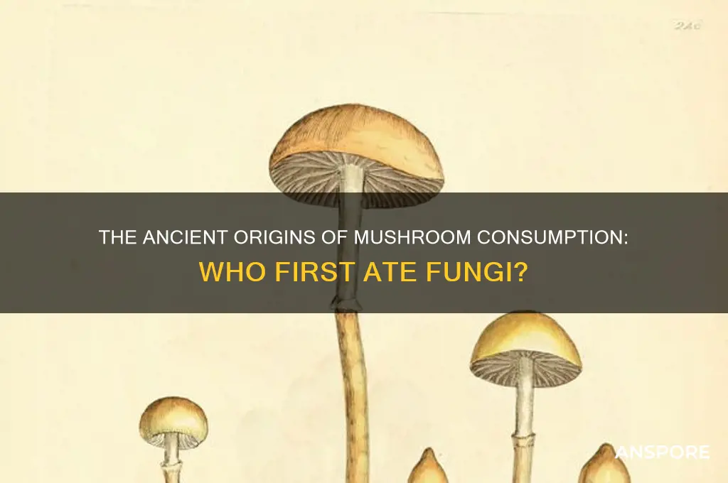 who started eating mushrooms