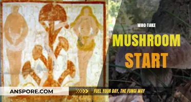 Mushroom Starters: A Guide to Getting Started