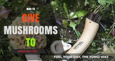 Mushroom Gifting: Who's Worthy?