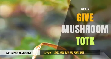 Mushroom Foraging: Safe Consumption and Preparation