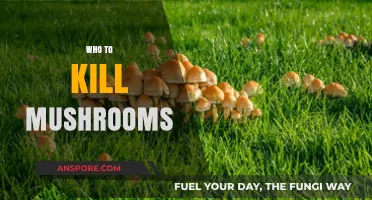 Killing Mushrooms: Effective Techniques for Your Garden