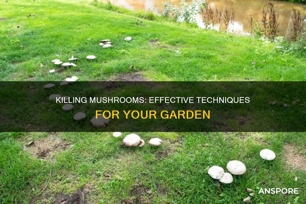 who to kill mushrooms