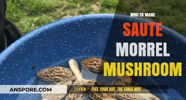 Mastering Sautéed Morel Mushrooms: A Simple, Flavorful Recipe Guide